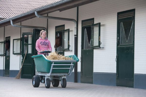 Elektrische kruiwagen - Afbeelding 3