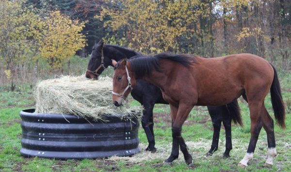 Haybin hayfeeder 180 cm