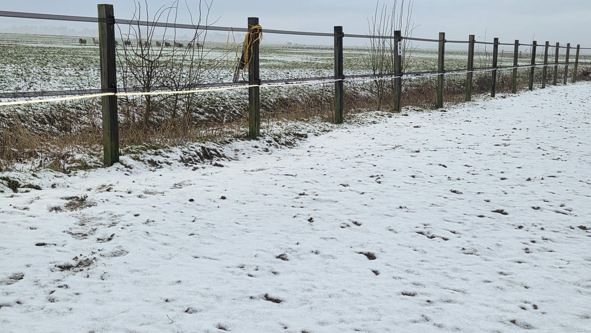 Ledstring rijbaan verlichting 10 20 of 50 meter - Afbeelding 5